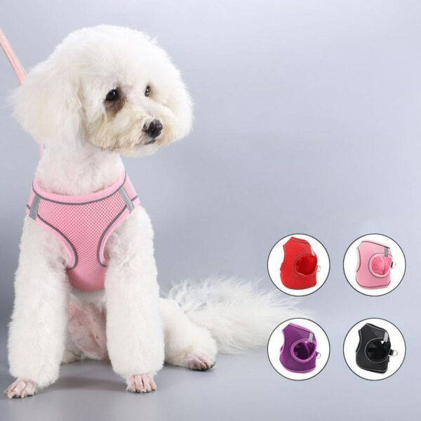 Small white dog wearing a pink reflective mesh step-in dog harness with adjustable straps and D-ring, against a gray background, with additional harnesses in red, purple, and black shown below.