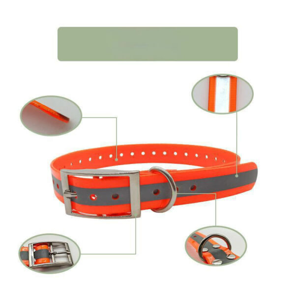 Reflective Dog CollarReflective Dog Collar