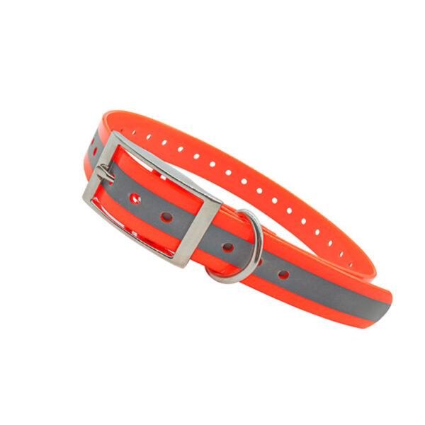 Reflective Dog CollarReflective Dog Collar