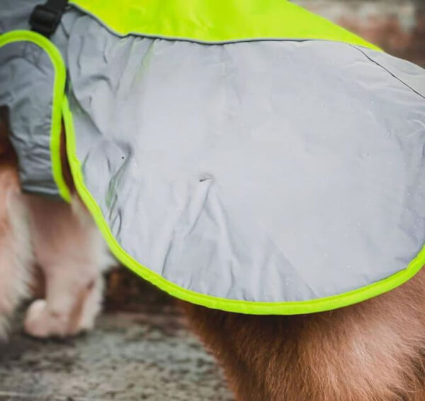 Stay Dry & Visible! 🐶 Reflective Dog Coat with Adjustable Straps – High Visibility Weather-Resistant Jacket, Gray/Yellow