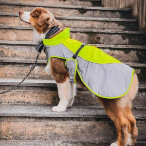 Stay Dry & Visible! 🐶 Reflective Dog Coat with Adjustable Straps – High Visibility Weather-Resistant Jacket, Gray/Yellow